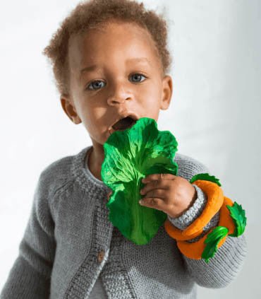 Oli & Carol Chewy-to-Go Teether - Kendall the Kale - The Mini Branch