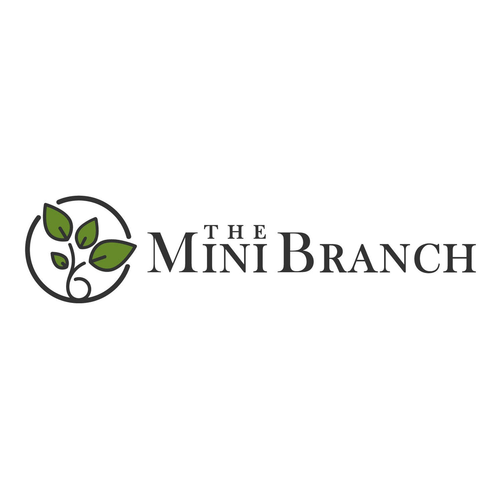The Mini Branch Gift Card - $10.00 - The Mini Branch