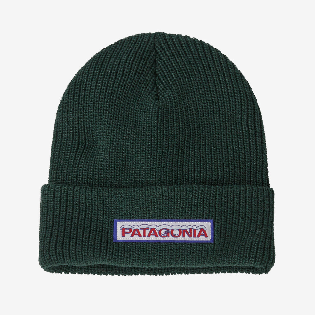 Patagonia Kid's Logo Beanie - Chill: Conifer Green - The Mini Branch